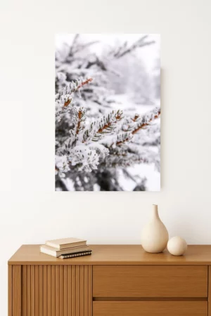 Branches sous la neige