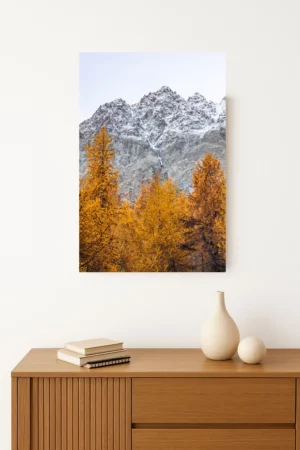 tirage photo d'une Montagne entourée de mélèzes aux couleurs dorées de l'automne