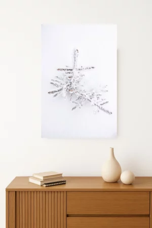 tirage photo d'un Sapin solitaire recouvert d'un épais manteau de neige dans la quiétude de la forêt