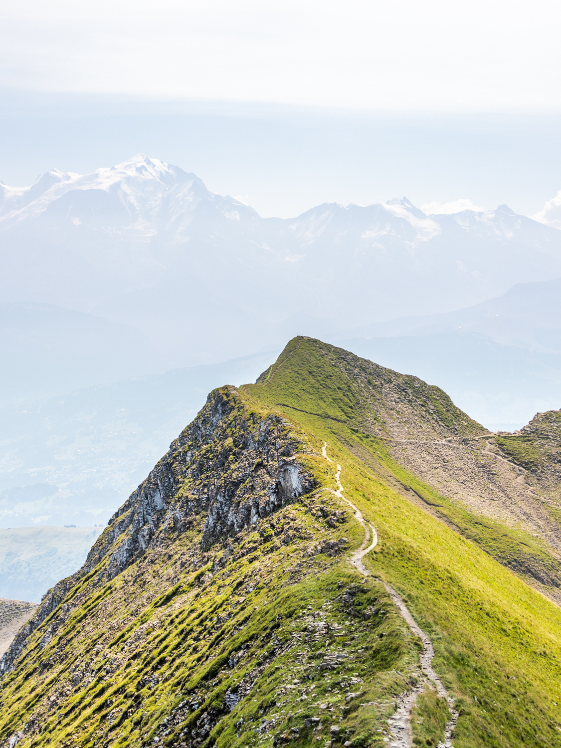 photo d'une Crête herbeuse offrant une vue panoramique sur le majestueux massif du Mont-Blanc