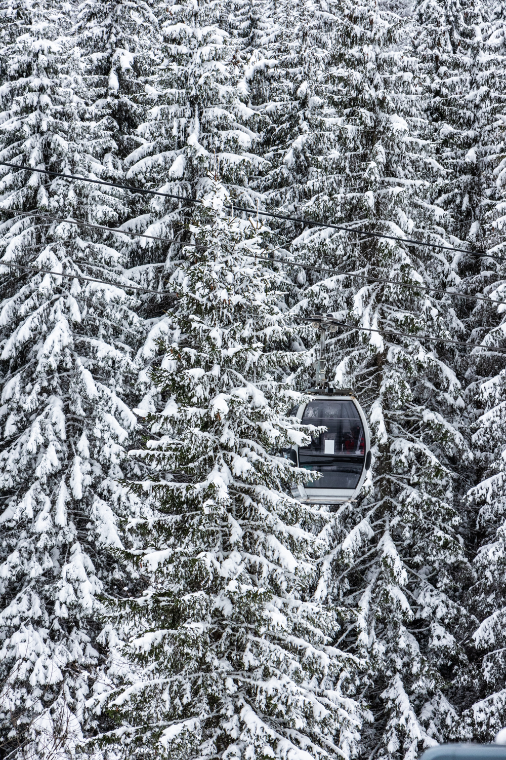 Forêt enneigée avec télécabine – Image 2