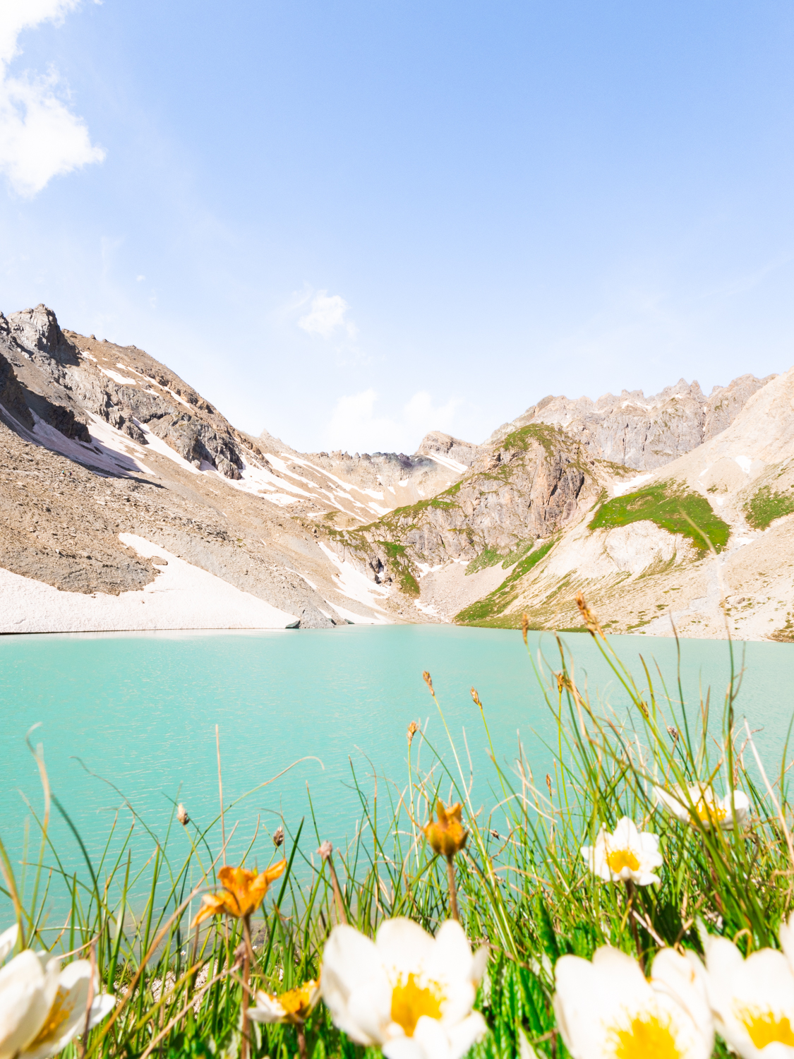 Lac des Béraudes fleuri – Image 2