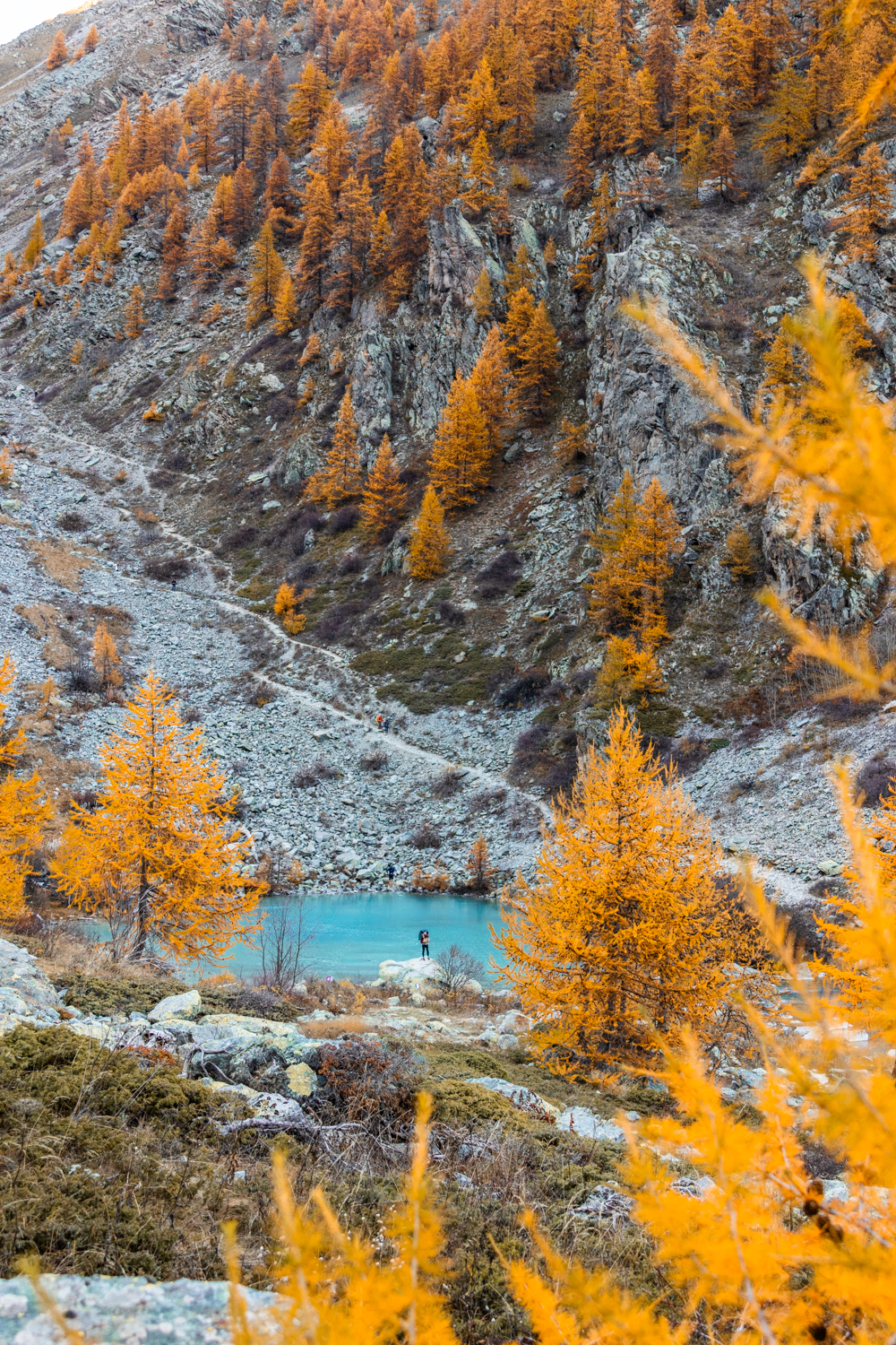 photo du Lac de la douche entouré des mélèzes dorés dans l'écrin automnal des Alpes françaises