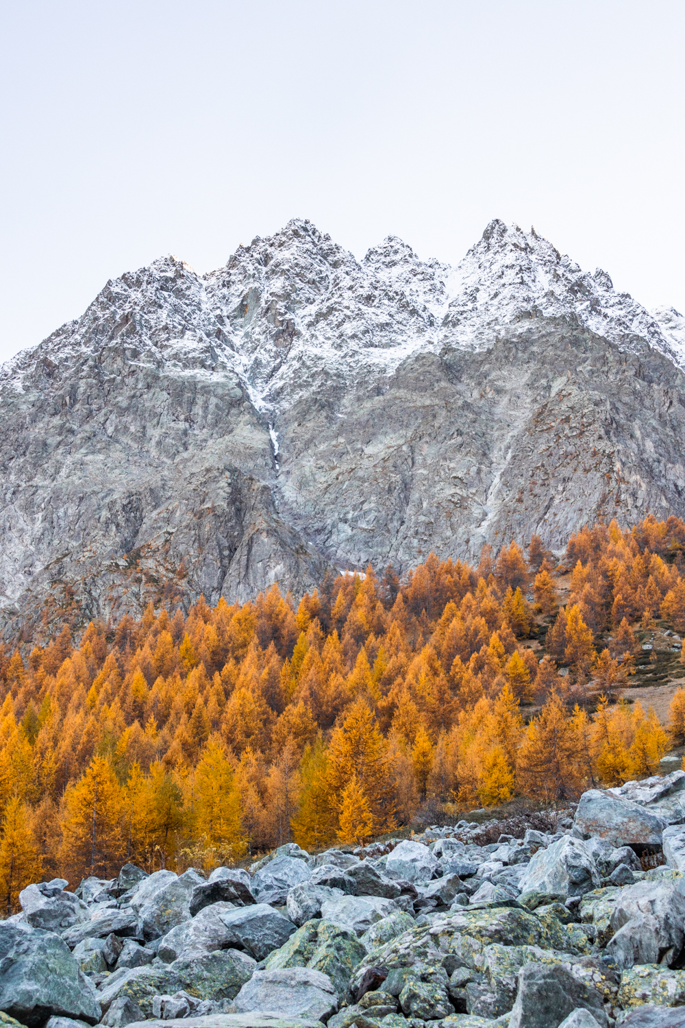photo d'une superposition de sommets enneigés, de forêts aux couleurs automnales et d’un pierrier