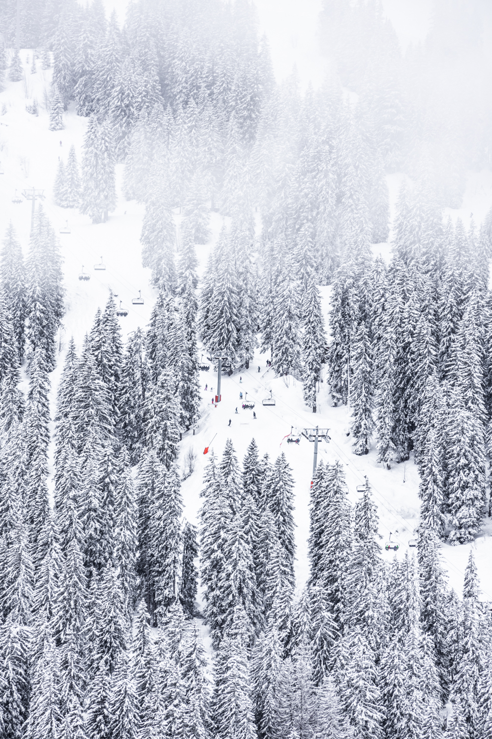photo d'une Piste de ski serpentant à travers une forêt de sapins enneigés dans un décor hivernal