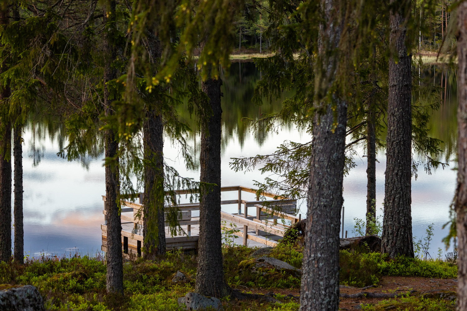 photo d'un Ponton en bois s'avançant sur les eaux calmes d'un lac dans une forêt