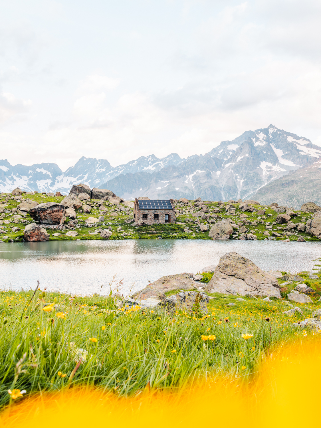 photo du Refuge Vallonpierre niché dans un cirque montagneux avec des fleurs au premier plan