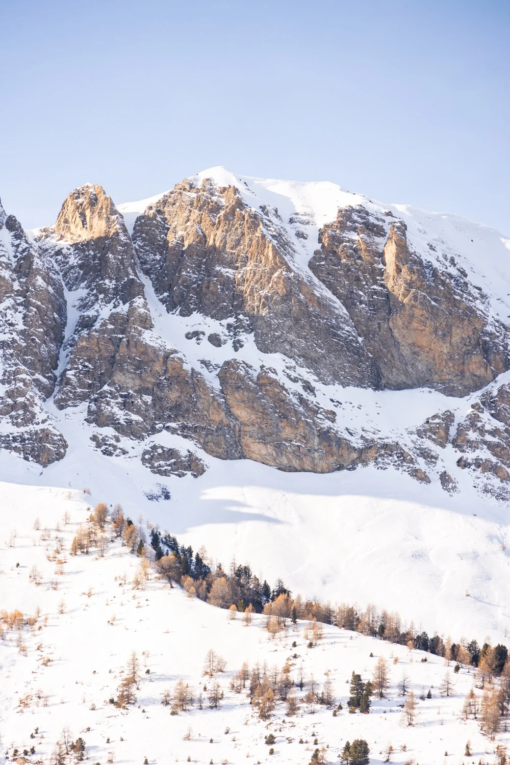 montagne enneigée au soleil avec arbres