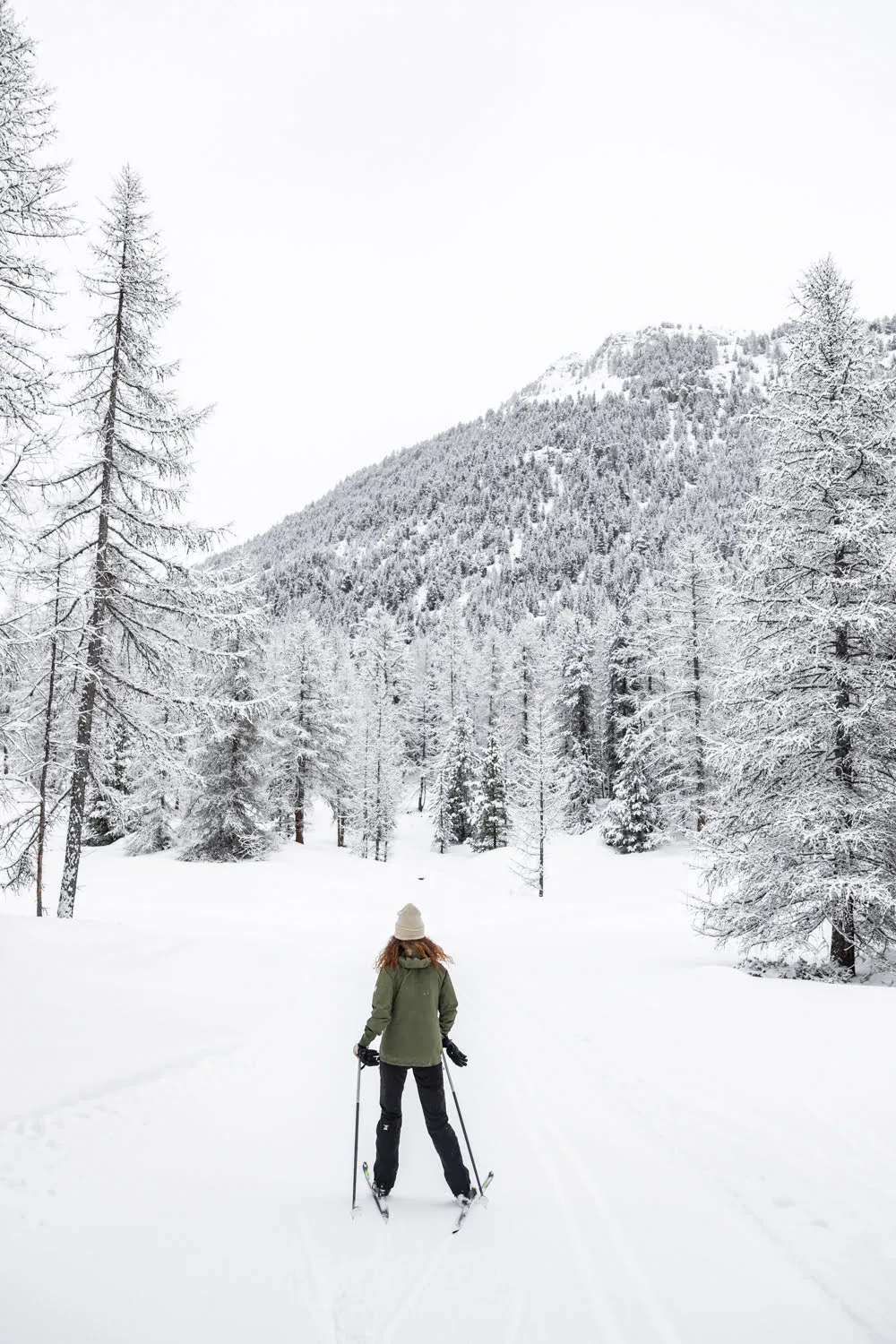fille qui fait du ski de fond entre les sapins enneigés