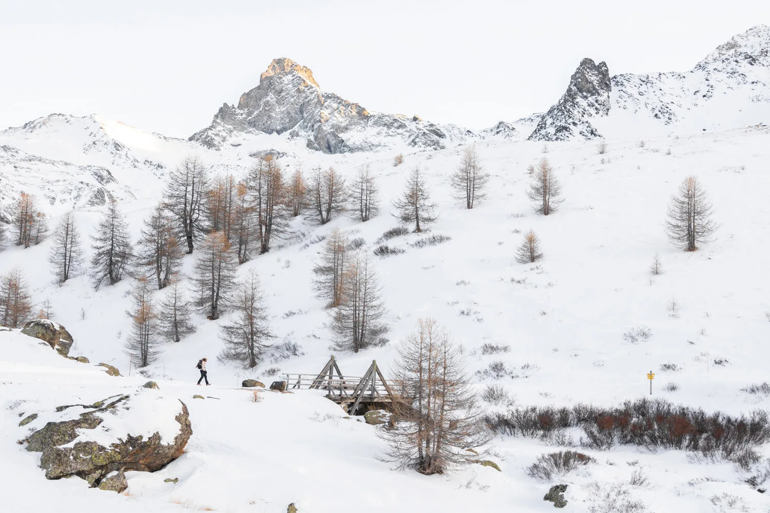 décor de montagne enneigé