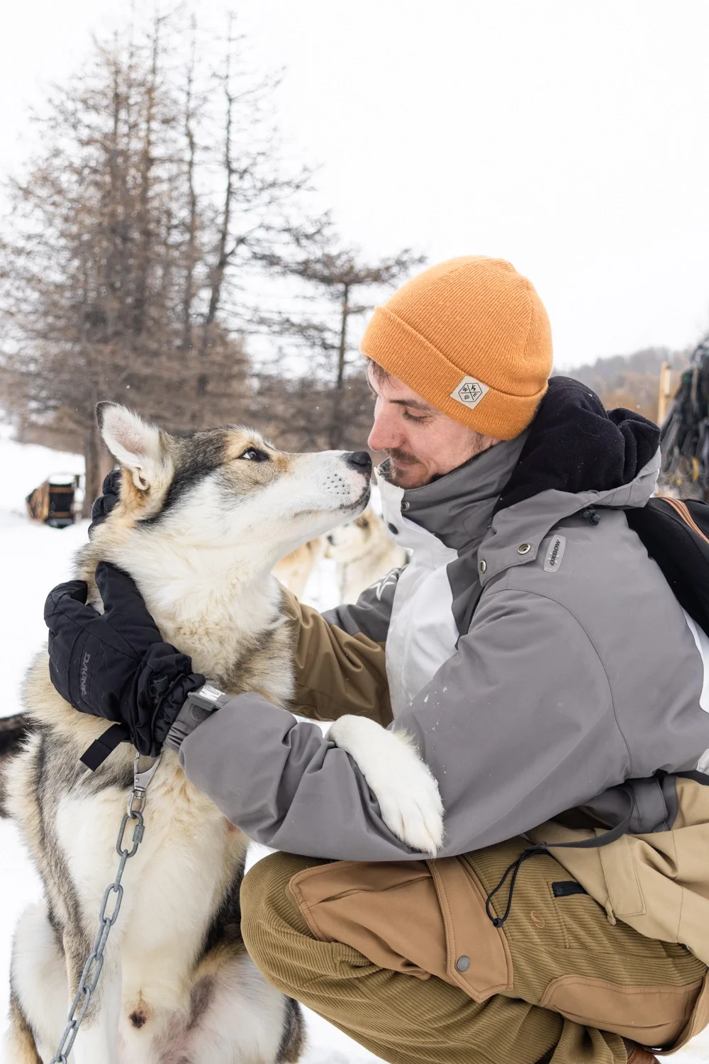 calin avec un chien de traineau et un randonneur