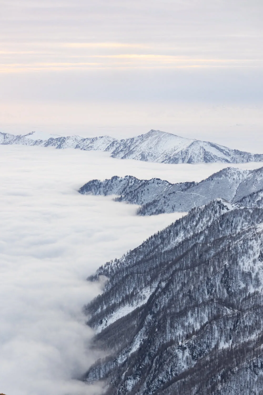 mer de nuage avec montagne