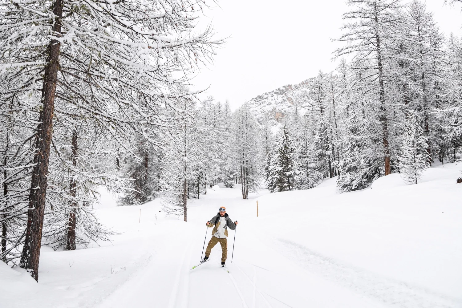 fondeur dans une forêt blanche