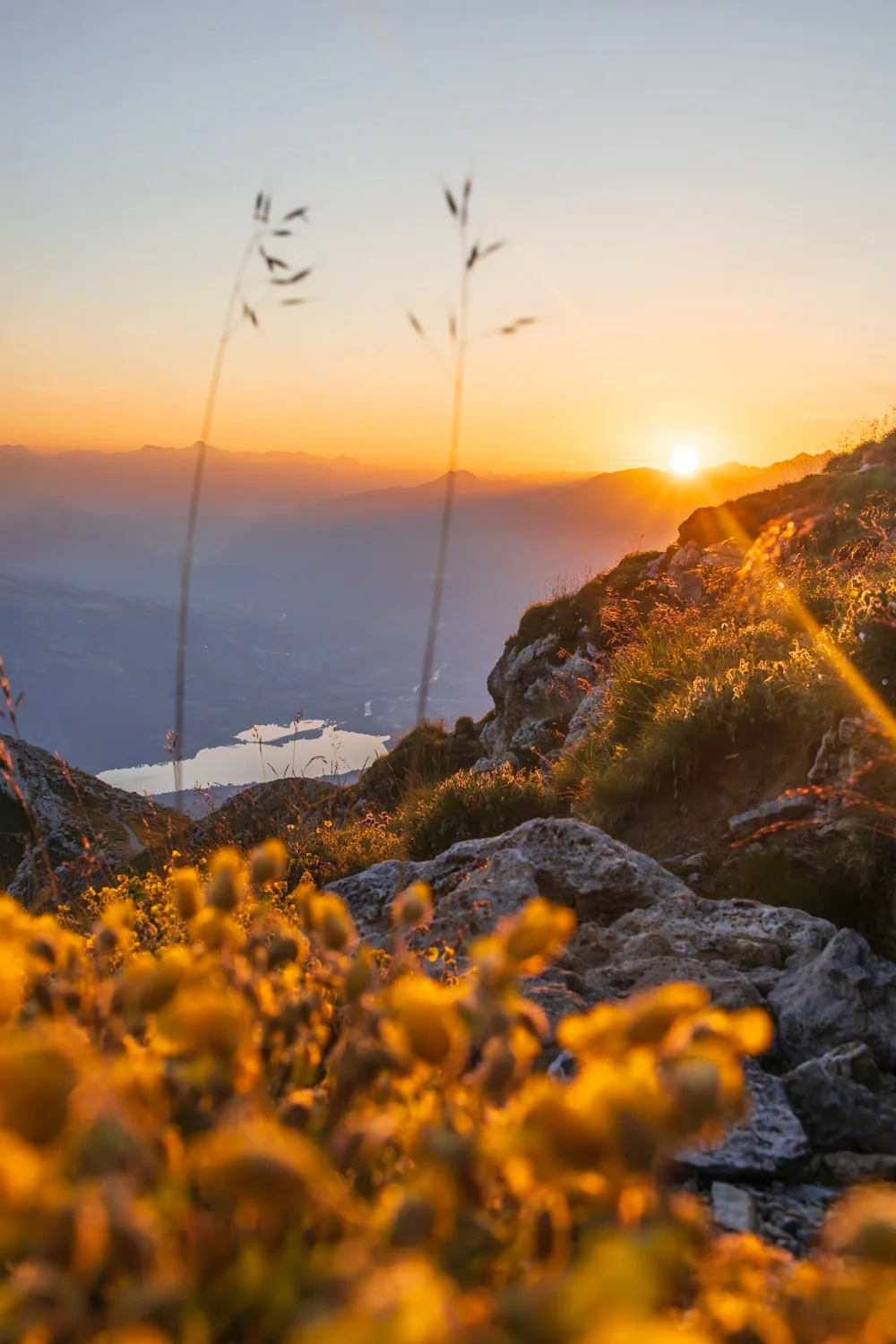 lever de soleil en montagne sur un lac avec fleurs