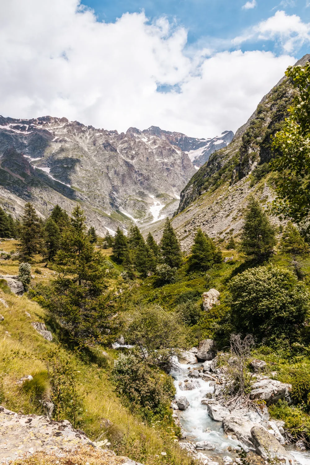 paysage de montagne avec verdure