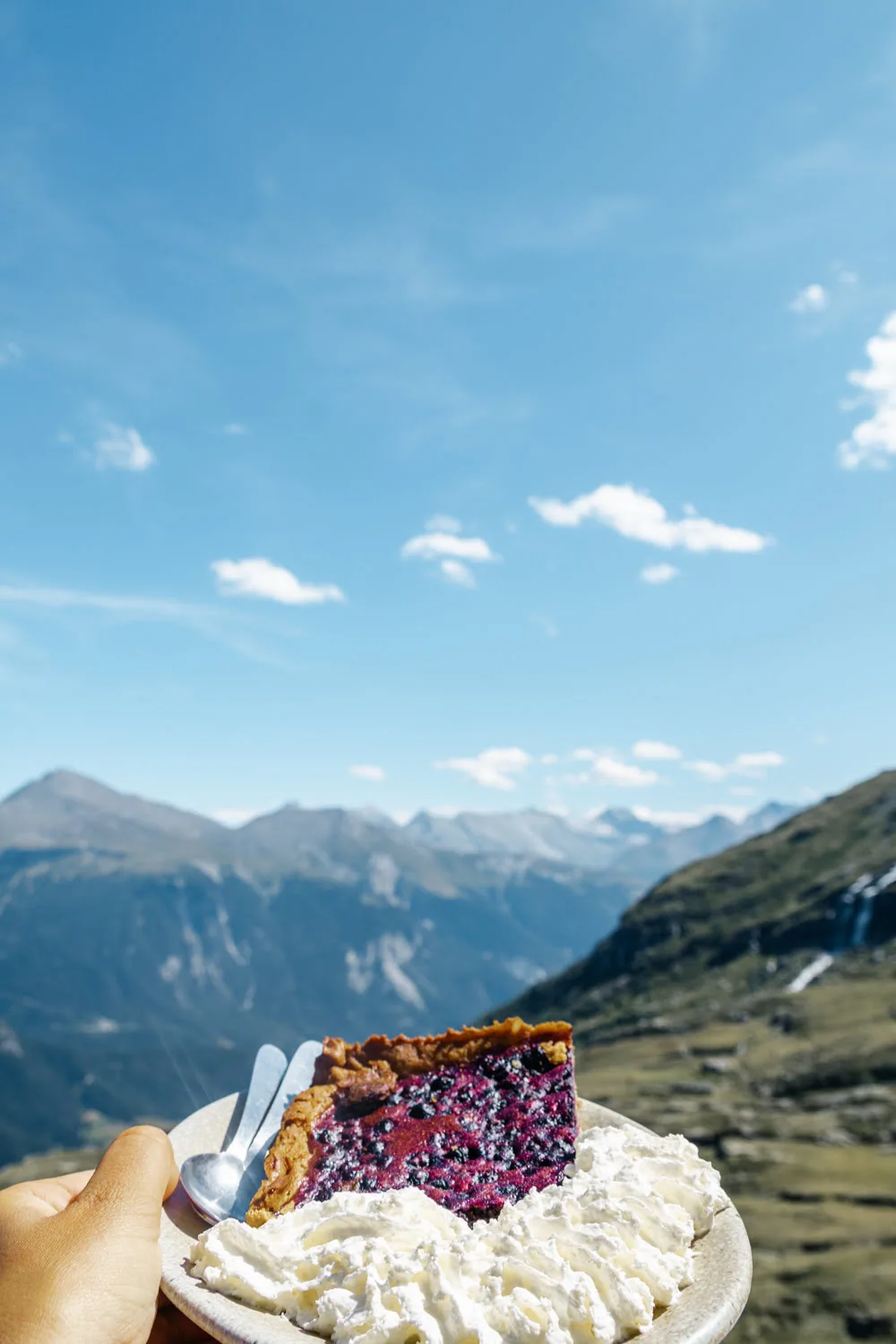 tarte à la myrtille avec vue montagne